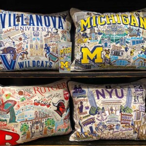Collegiate Pillow Collection